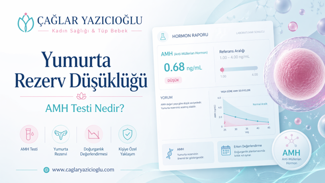 AMH Testi Hakkında Merak Edilenlere Uzman Yanıtı