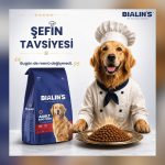 Bialin’s ile Kedi ve Köpekler İçin Doğal ve Yüksek Proteinli Beslenme Dönemi Başladı